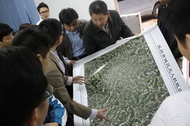 深圳政府在线 地籍测绘工作动态与成效